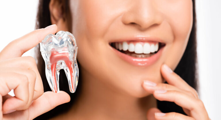 cropped view of smiling woman holding tooth model isolated on white
